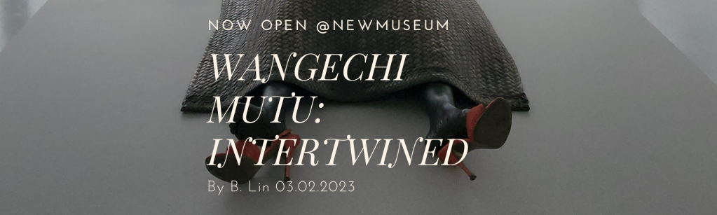 Intertwined a featured exhibition at the New Museum: Now on View